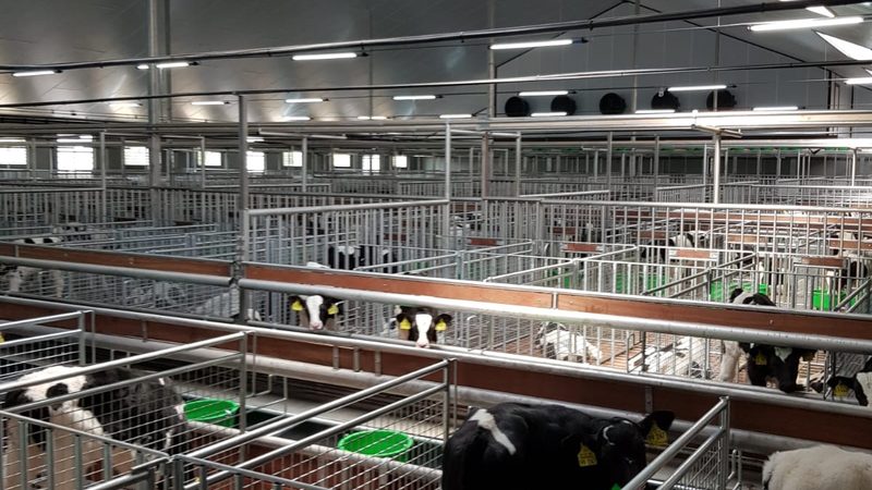 揭秘跨境电商代运营报价：标准与影响因素